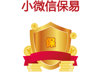 小微信保易