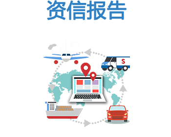资信报告