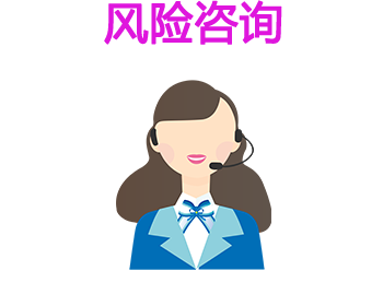 风险咨询